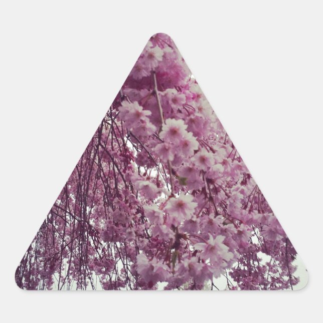 Springtime Triangle Sticker (Front)