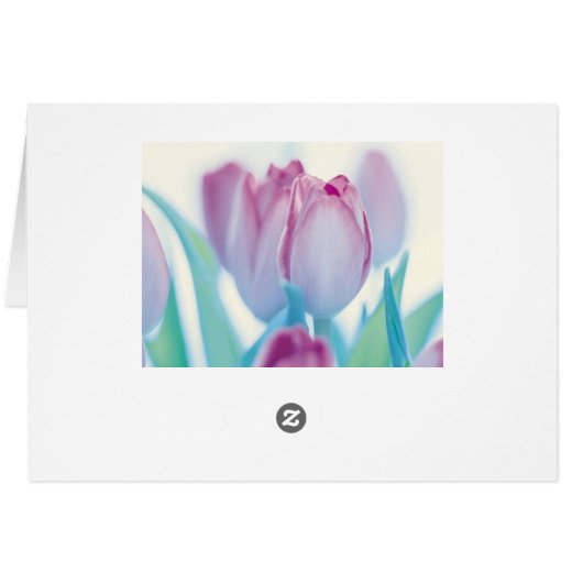 Springtime Tulips Cards (Back Horizontal)