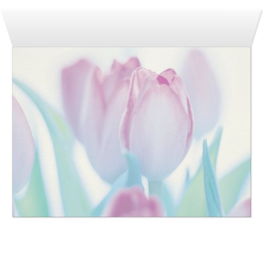 Springtime Tulips Cards (Inside Horizontal (Bottom))