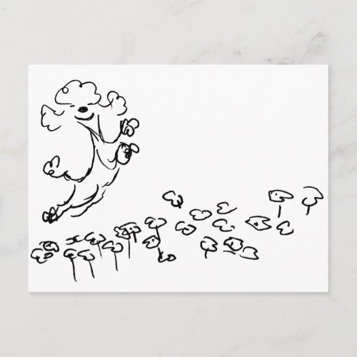 Springy Poodle Postcard