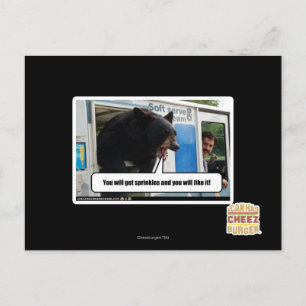 Sprinkles Postcard