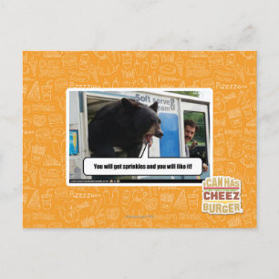 Sprinkles Postcard