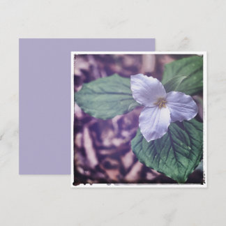 Sprint Trillium Autochrome Style Note Card