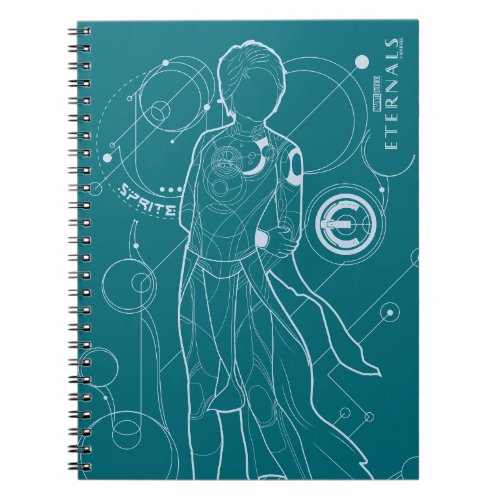 Sprite Astrometry Outline Notebook