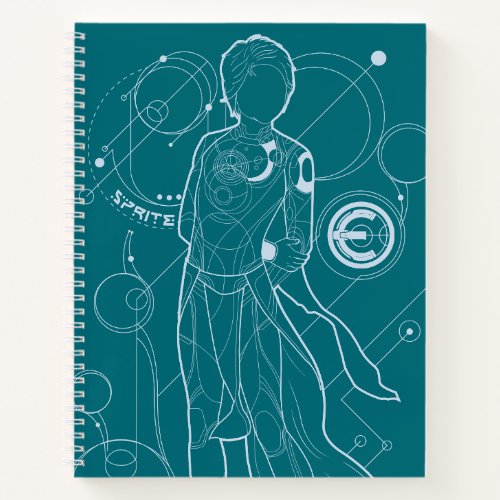 Sprite Astrometry Outline Notebook