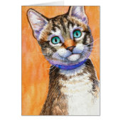 Sprite Tabby Cat Cards (Front)