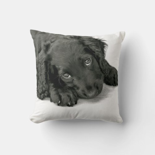 Sprocker Spaniel Dave Throw Pillow