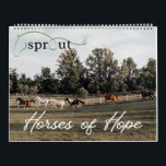 Sprout 2025 Calendar<br><div class="desc">Horse Calendar for Friends of Sprout</div>