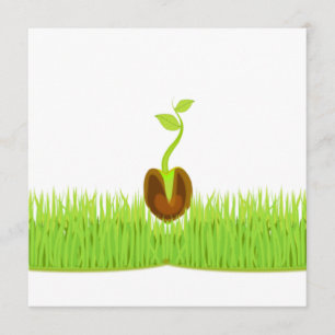 Sprout! Announcement