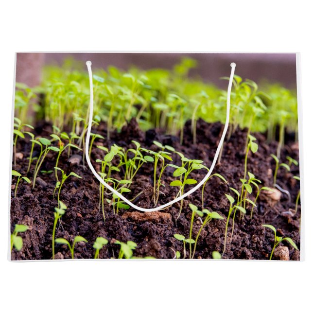 Sprouting grass large gift bag (Front)