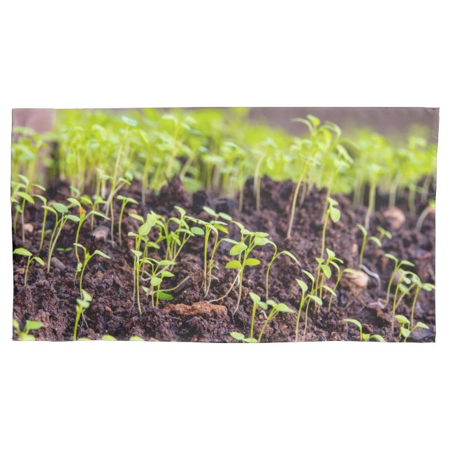 Sprouting grass pillow case (Front)