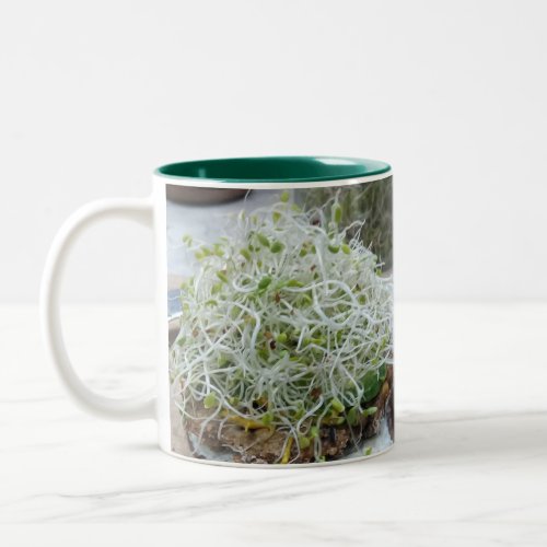 Sprouting the Beginners Guide to Growing Sprouts Two_Tone Coffee Mug