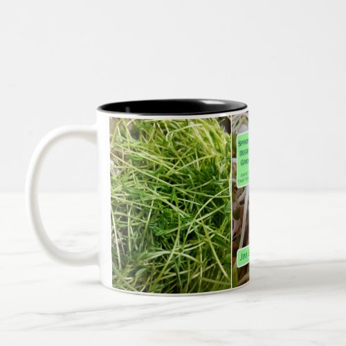 Sprouting the Beginners Guide to Growing Sprouts Two_Tone Coffee Mug