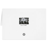 Spruce (Back Horizontal)