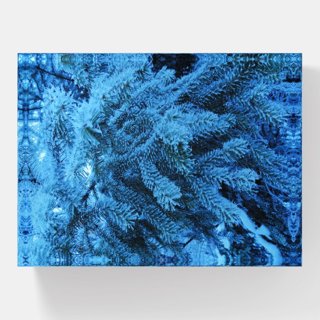 Spruce branches covered with snow & frost crystals paperweight (Front)