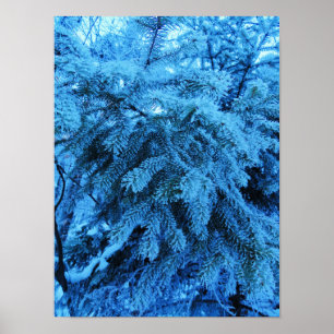 Spruce branches covered with snow & frost crystals poster