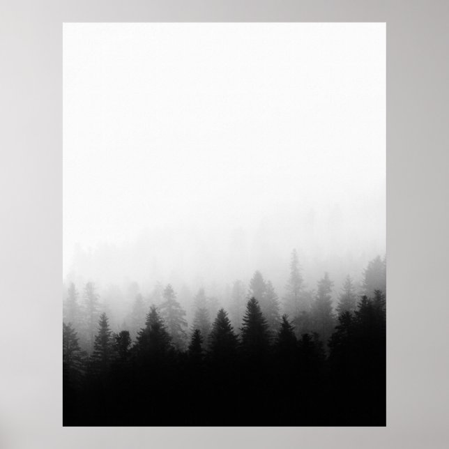 Spruce forest in fog poster (Front)