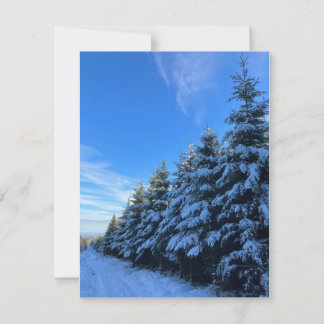 Spruce trees in the snow holiday card