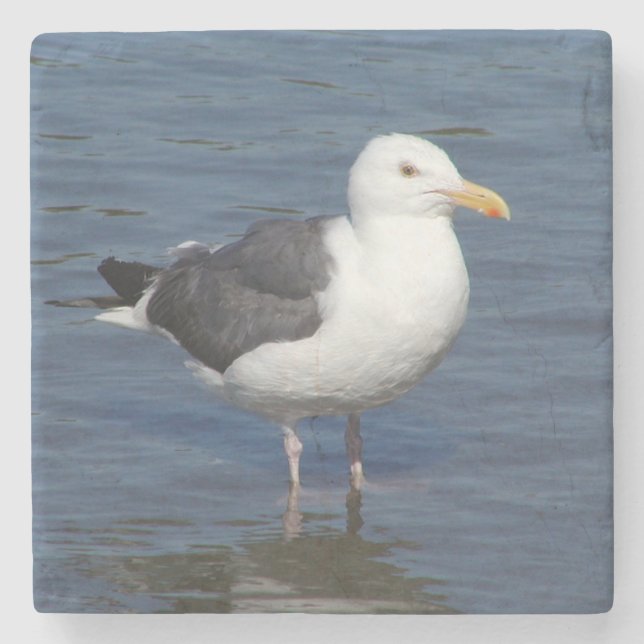 Spunky Wading Seagull Marble Coaster (Front)
