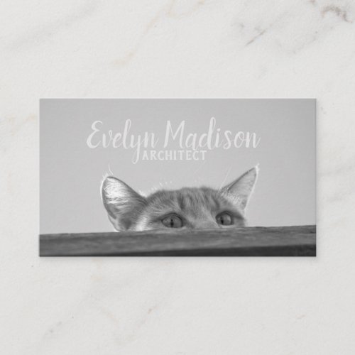 Spy Cat Business Card