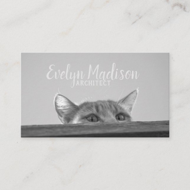 Spy Cat Business Card (Front)