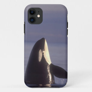 Spyhopping Orca Killer Whale (Orca orcinus) near iPhone 11 Case