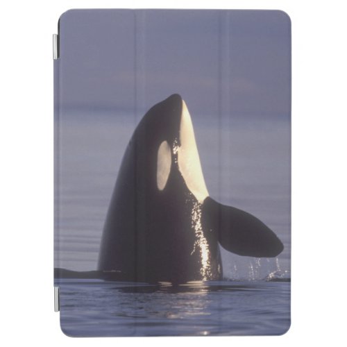 Spyhopping Orca Killer Whale Orca orcinus near iPad Air Cover