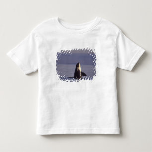 Spyhopping Orca Killer Whale (Orca orcinus) near Toddler T-shirt