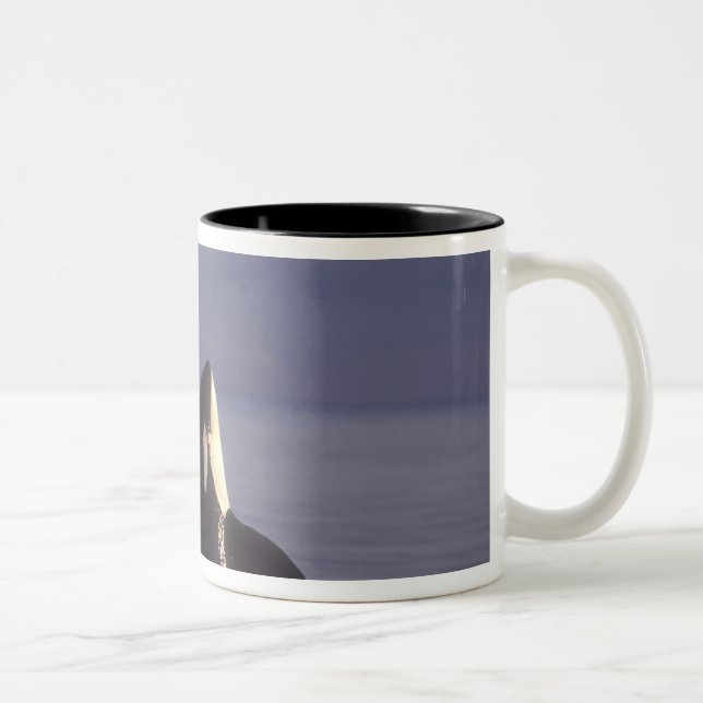 Spyhopping Orca Killer Whale (Orca orcinus) near Two-Tone Coffee Mug (Right)