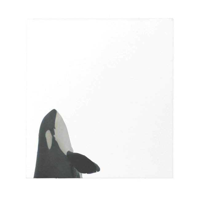 Spyhopping Orca Notepad (Front)