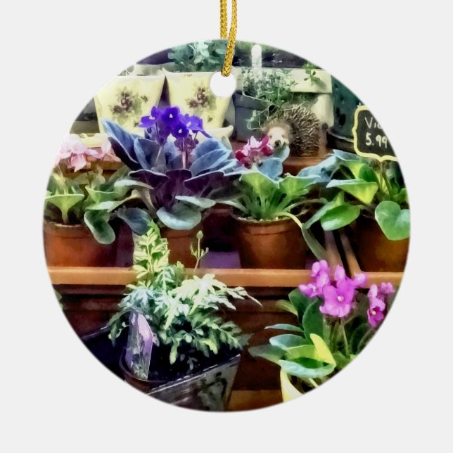 SQ_AfricanVioletsForSaleAfrican Violets For Sale Ceramic Ornament (Front)