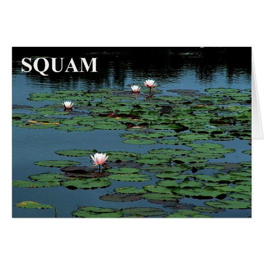 Squam Lake Lilies Cards (Front Horizontal)