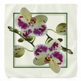 Square Bandana Rich Pale Yellow Orchids