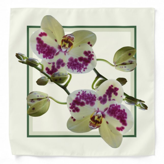 Square Bandana Rich Pale Yellow Orchids (Front)