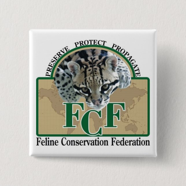 Square Buttons (Front)