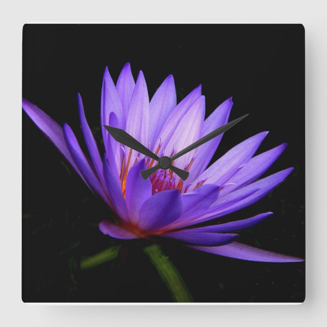 Square Clock, Dark Side of the Purple Water Lily Wall Clock (Front)