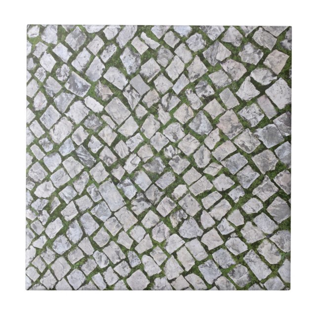 Square Cobblestone Rock Pattern with Green Moss Ceramic Tile (Front)