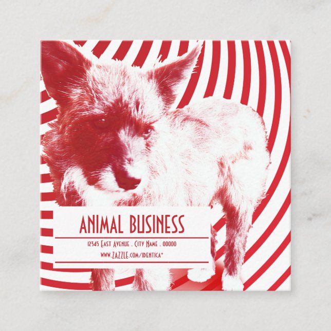 square crazy pup pet appointment reminder card (Front)