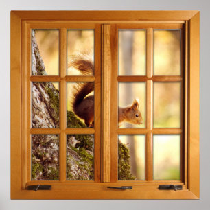 Square Faux Window Illusion - Squirrel Poster