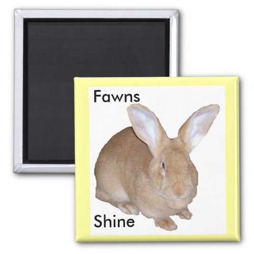 Square Fawn Flemish Giant Rabbit Magnet