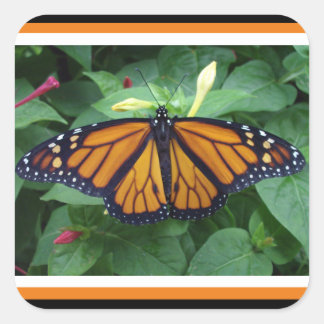 Square Glossy Stickers,Monarch Style #3b Sticker