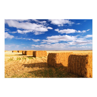 Square hay bales in a field photo print