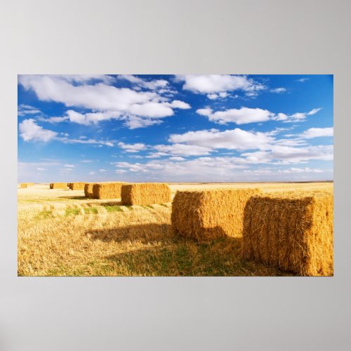 Square hay bales poster