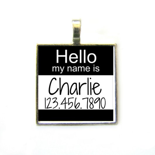 Square "Hello" Personalized Pet Name Tag ID (Front)