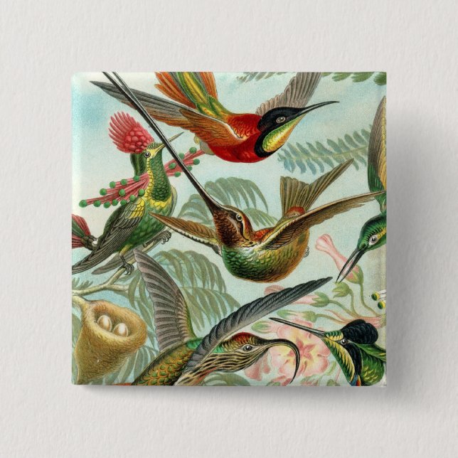 Square Hummingbird Button (Front)