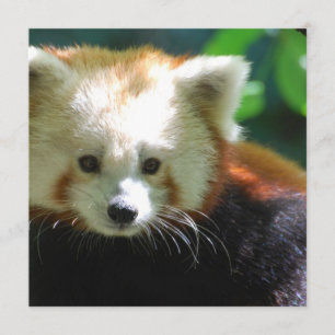 Square Invitation - Customized