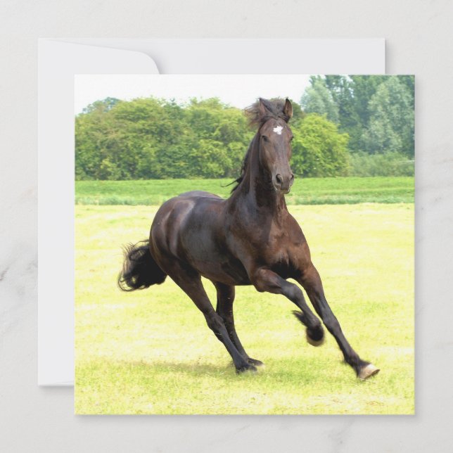 Square Invitation - Customized (Front)