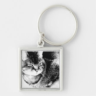 Square Keychain - Watchful Cat!