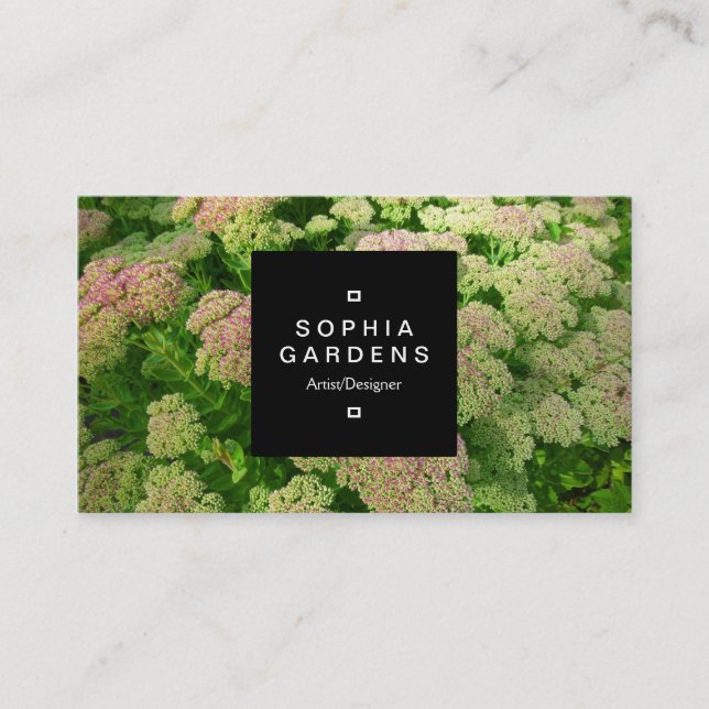 Square Label 01a - Sedum Autumn Joy Business Card (Front)