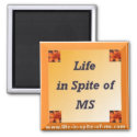 Square Life in Spite of MS Magnet